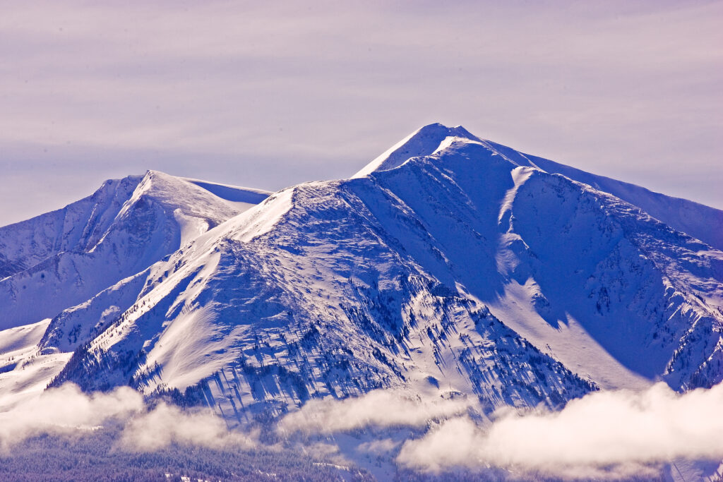 Purple Mountain Majesty - Carol Craven